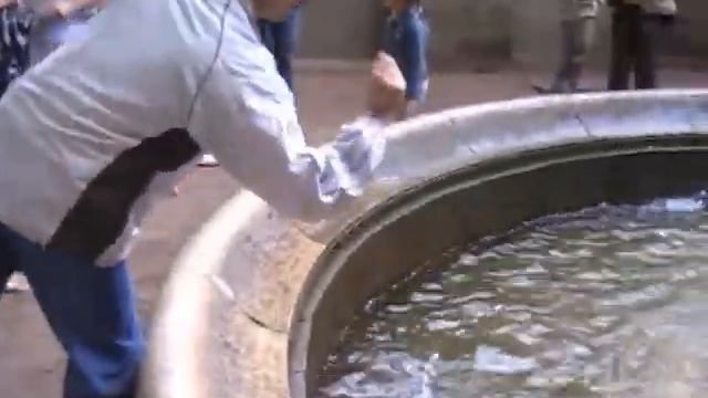 Петергоф Фонтаны 2008 смотреть онлайн