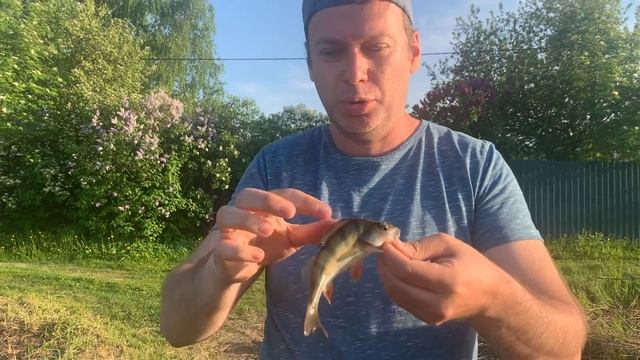 Мормышинг против микро-джига: окунёвое эльдорадо! смотреть онлайн