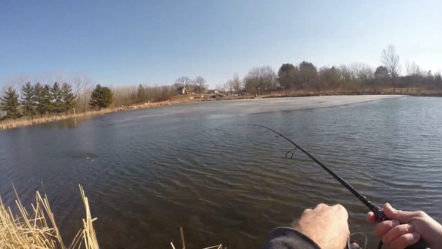 Simple Cold Water Technique Catches Fish In Half Frozen Pond! смотреть онлайн