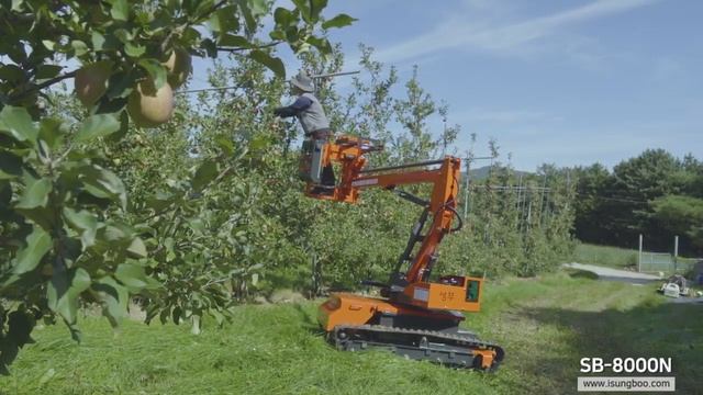 Подъемник Sungboo SB-8000N