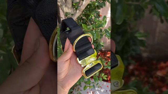 The Prestige Of Dogs Knows No Bounds💪😉