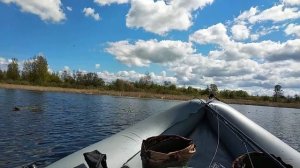 Ловля щуки в мае