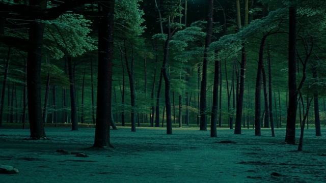 Осенний Амбиэнт Микс