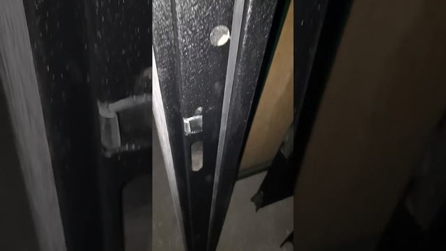 Металлическая входная дверь для квартиры смотреть онлайн