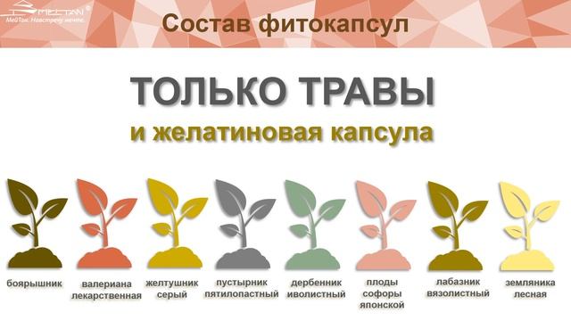 Алтайские фитокапсулы «Здоровые сосуды – долгая жизнь» смотреть онлайн