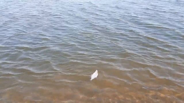 Батл FISHDREAM - И ПРОСТО РЫБАЛКА на муромском вх смотреть онлайн