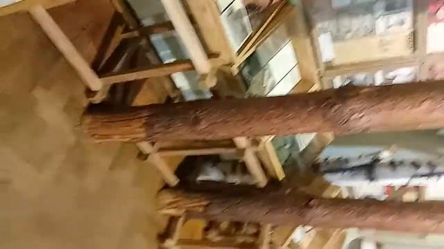 Курский краеведческий музей смотреть онлайн