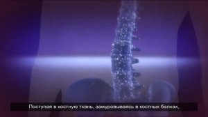 Профессор Корзун В.Н. о питании XXI века гелях Вертера на основе морских бурых водорослей