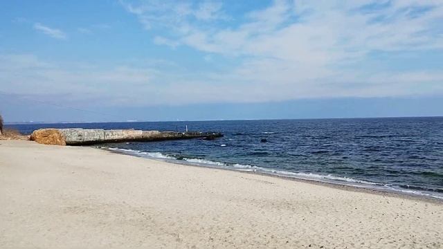 Одесса 💙Площадки готовят в весне)🌷 #уЧерногоМоря ✨ Февраль 2024 смотреть онлайн