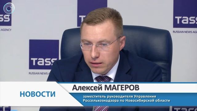 Вырастут ли цены на продукты после введения электронных сертификатов?