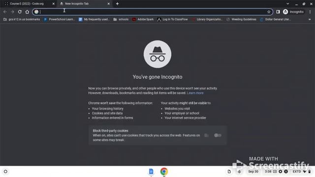 using incognito window to demo student view смотреть онлайн