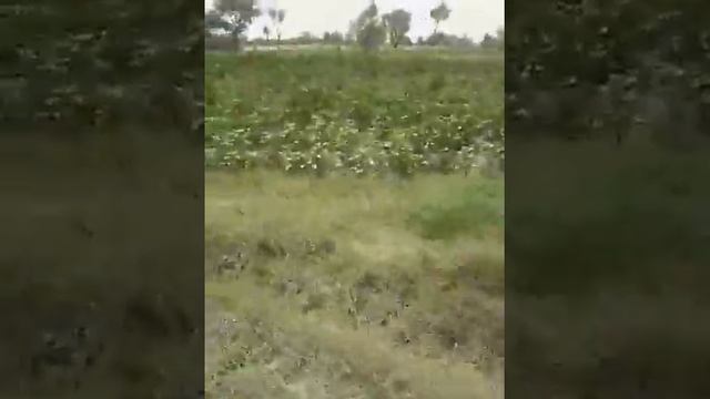 solar watar pump 12v dc 10 hp motar 32 panel connection смотреть онлайн