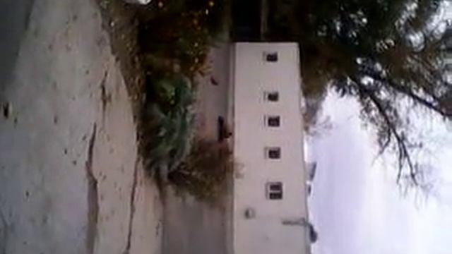 MOV_0000001 смотреть онлайн