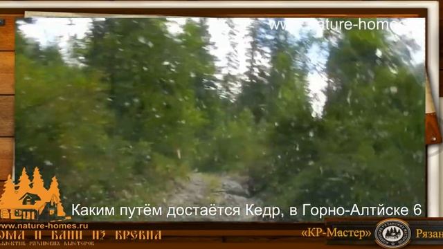 Каким путём достаётся Кедр, в Горно Алтайске 6 смотреть онлайн
