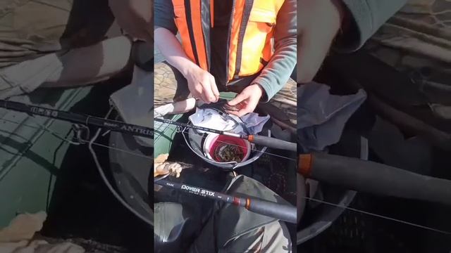 Насаживаем Ракушку смотреть онлайн