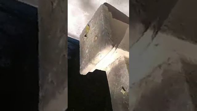 Поездка в Туапсе