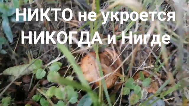 VOZНЯ отняла простые человеческие радости. Не сдаемся и значит победим дракона.