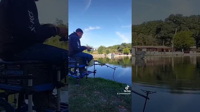 Daiwa N'zon Method Feeder 10