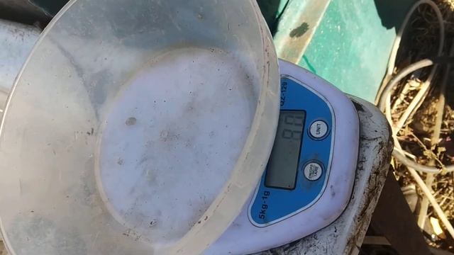 Живец на хищную рыбу смотреть онлайн