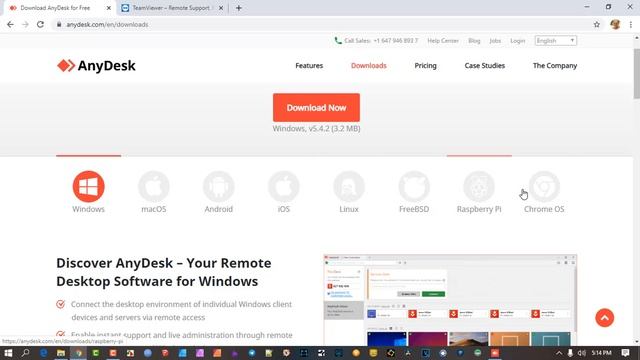AnyDesk Fastest Remote Support Experience - DeskRT Codec (Alternative to Teamviewer) смотреть онлайн