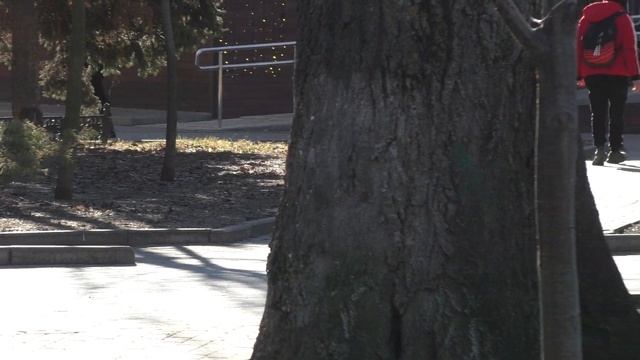 Клевый  музон