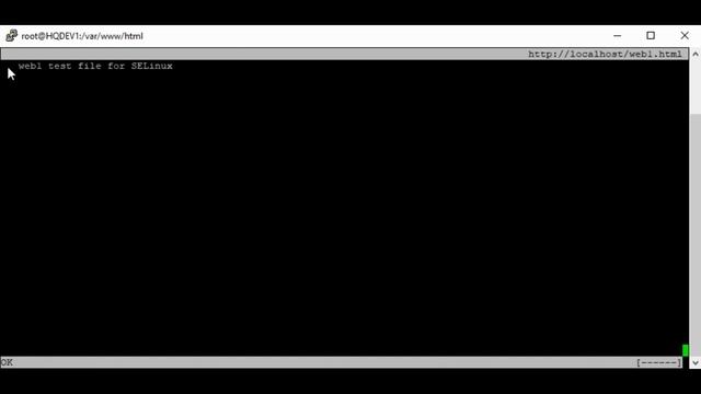 Understanding SELinux type context With Examples (RHCSA 8, Lesson 16D) смотреть онлайн