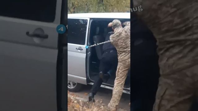 Овца шла на работу но повстречались свиньи из тцк. Результат больше овцу никто не видел смотреть онлайн