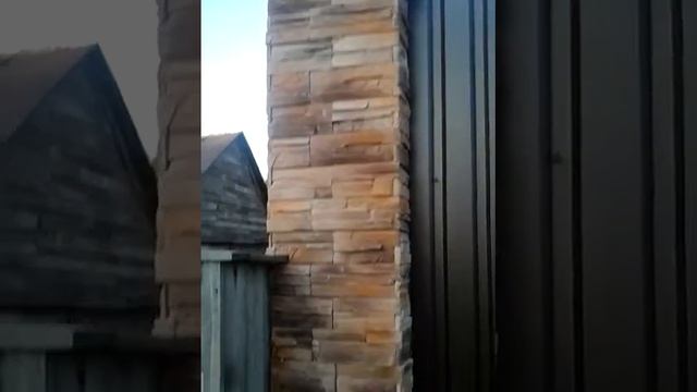 Гуляэм лесам(47) смотреть онлайн