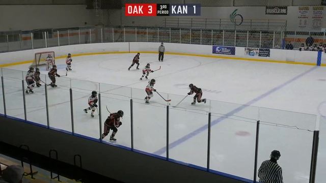 2022-11-19 vs. Kanata Rangers - Period 3 смотреть онлайн