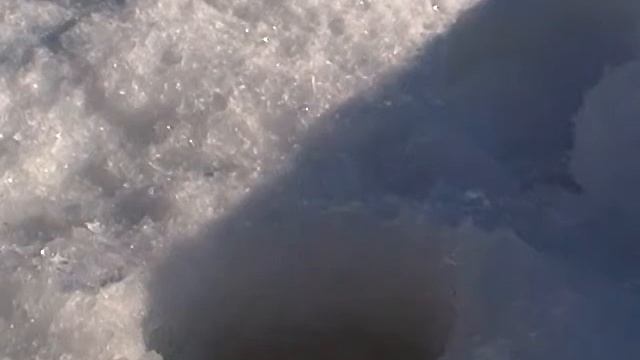 WEB 0863 смотреть онлайн