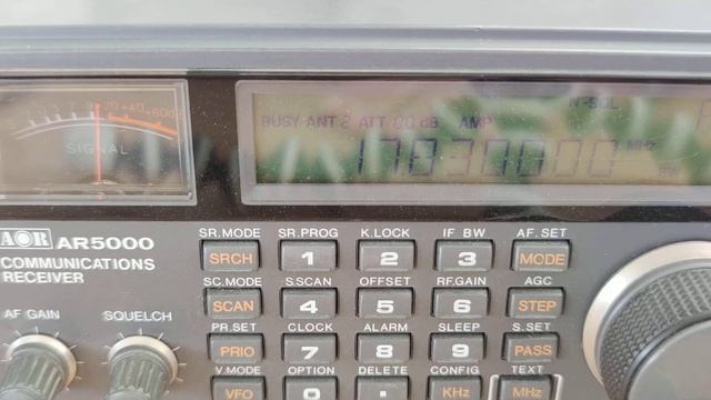 17830 кгц. Музыкальная станция R.FARDA смотреть онлайн