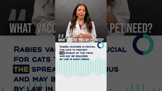 Pet owners | most-asked pet questions | What Vaccine Does My Pet Need? 🐶 смотреть онлайн