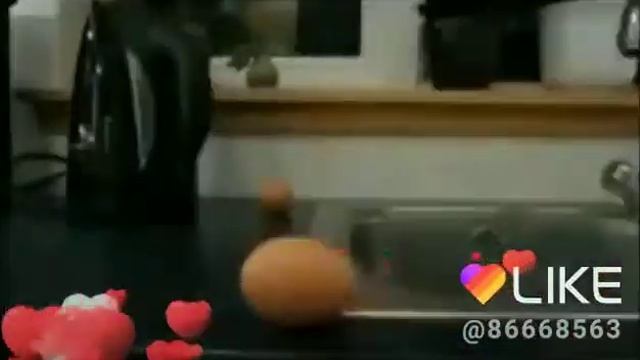 Запоздала я с Масленицей