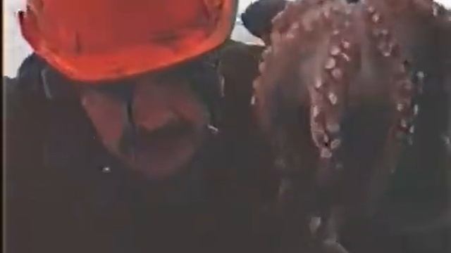 Антон Лапенко смотреть онлайн