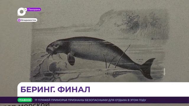 Проект музея истории Дальнего Востока - Камчатские экспедиции Витуса Беринга, подходит к концу