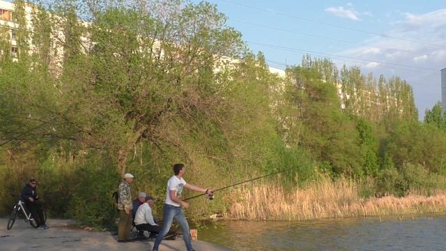 Покидушки ВКК РК 04.05.2016 г. смотреть онлайн