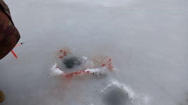 просто кайф от такой рыбалки