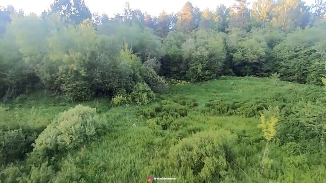 Flight over Russian Forest with FPV. Тутаевские леса и речка Ить на FPV