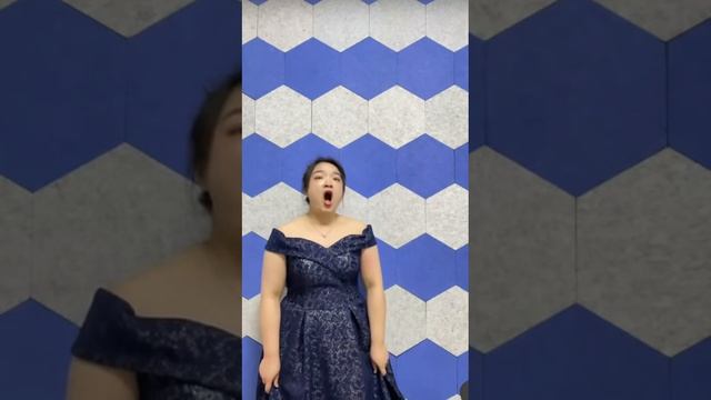 3. 《ВОЛГА—РЕЧЕНЬКА  ГЛУБОКА…》-Се ла юй-1138858