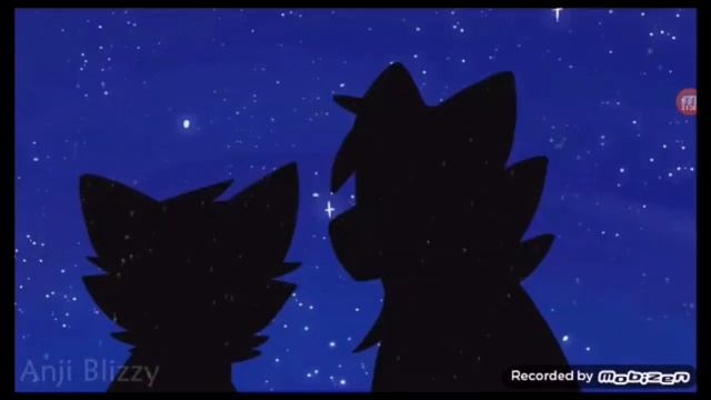 ¦¦|^•^~∞Клип котов-воителей малиновый^закат∞~^•^|¦¦