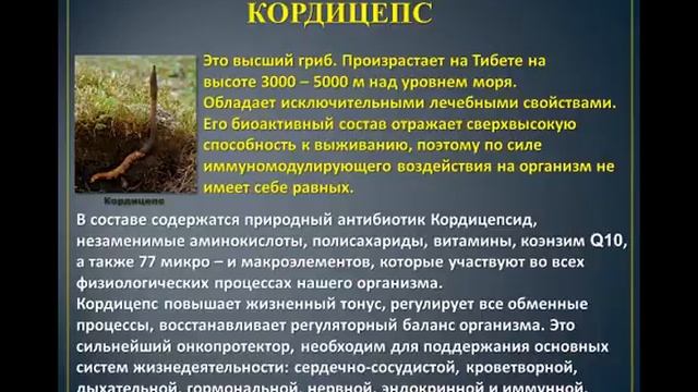 Секреты здоровья,красоты,омоложения,продления жизни с Elev8 известны!!! 1 смотреть онлайн