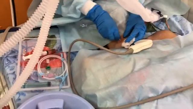 "Один день моего дежурства в больнице"! смотреть онлайн