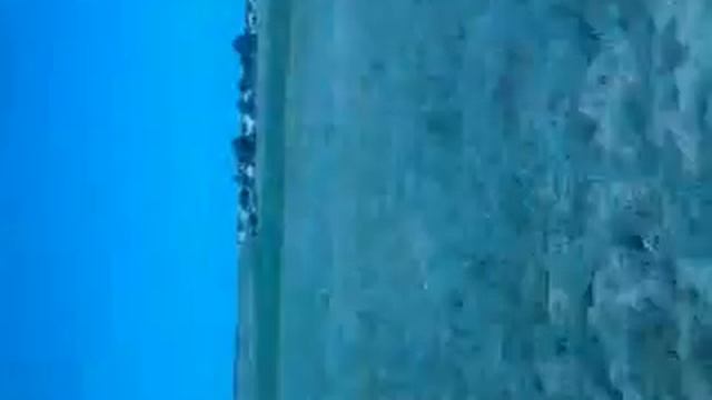 МТЗ-80 смотреть онлайн