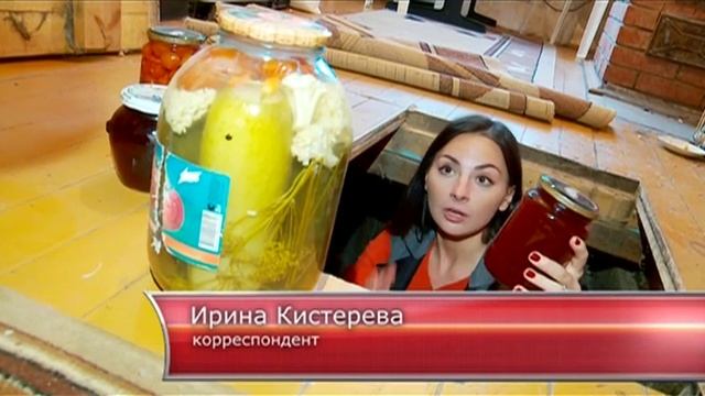 Нанодача - "Утро с вами" 11.09.2015 смотреть онлайн