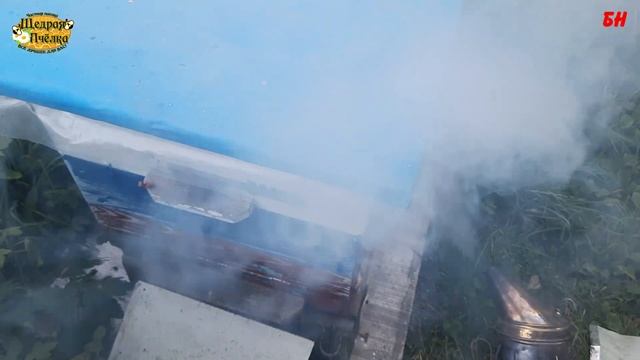 пчеловодство может ли селитра снизить агрессию пчел смотреть онлайн