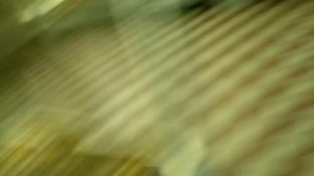 Зоологический музей в питере смотреть онлайн