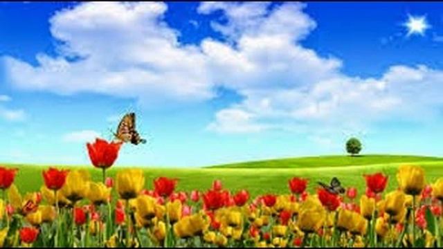 Free desktop wallpapers смотреть онлайн