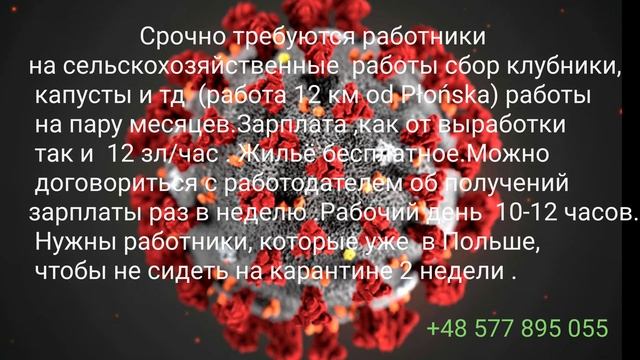 Срочно работа в Польше. смотреть онлайн
