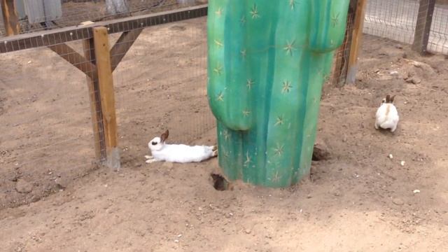 01.07.2018 Евпатория, Парк миниатюр смотреть онлайн