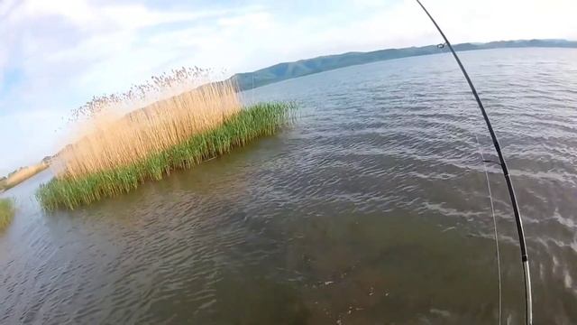 Открытие сезона на спиннинг (поимка первого трофея в этом сезоне) смотреть онлайн